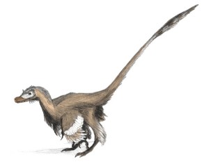 velociraptor