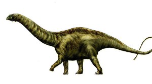apatosaur