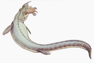 mosasaurus