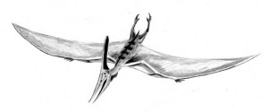 pteranodon