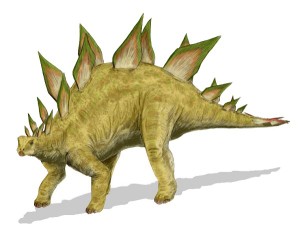 stegosaurus