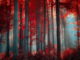 Image credit: 7themes.com http://7-themes.com/6807791-red-forest.html